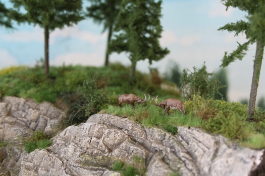 Steinbock stehend