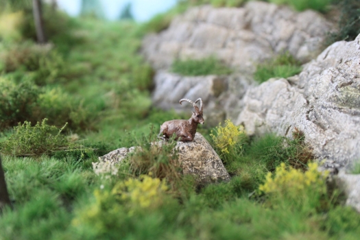 Steinbock liegend in der Landschaft in Miniatur