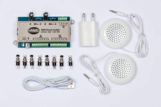 Sound Module Serie 200 1 x 128 MB