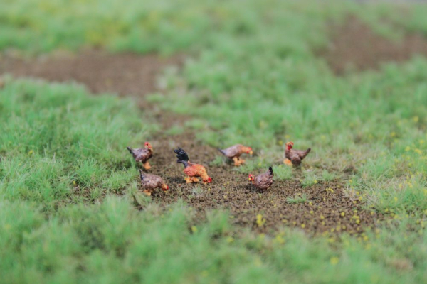 Figuren in H0 - Welsumer Hühner