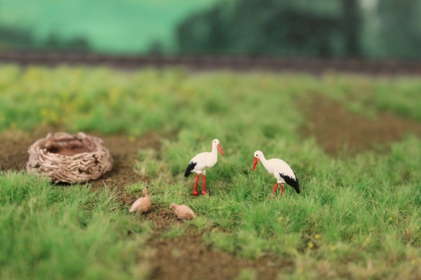Storchenpaar, Nest und Jungtiere
