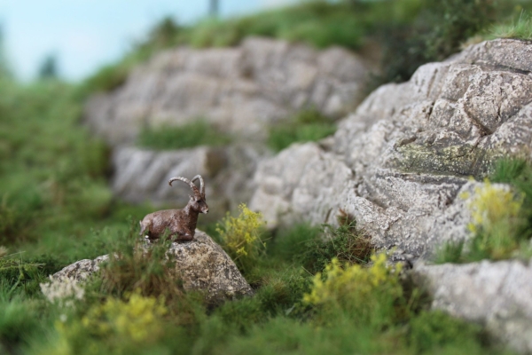Steinbock liegend auf einer Modellbahnanlage in 1:87
