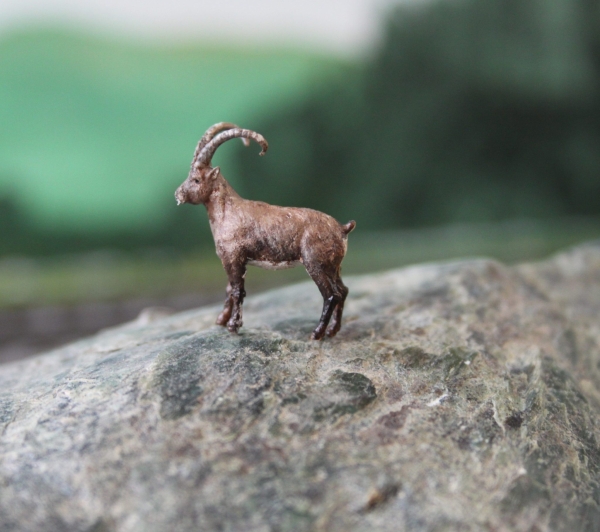Steinbock stehend