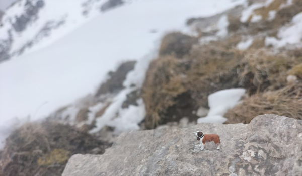 Figuren in H0 - Bernhardiner Hund
