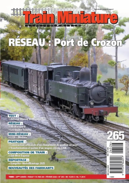 Train Miniature Magazine Coverbild