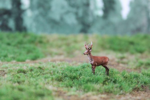 Figurines au format H0 - Cerf