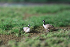 Figuren in H0 - Kanadische Gänse