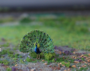 Handbemalter blauer Pfau auf einer Modellbahnanlage