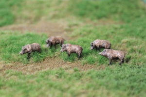 Handbemalte Wildschweine in Miniatur auf der Modelleisenbahnanlage